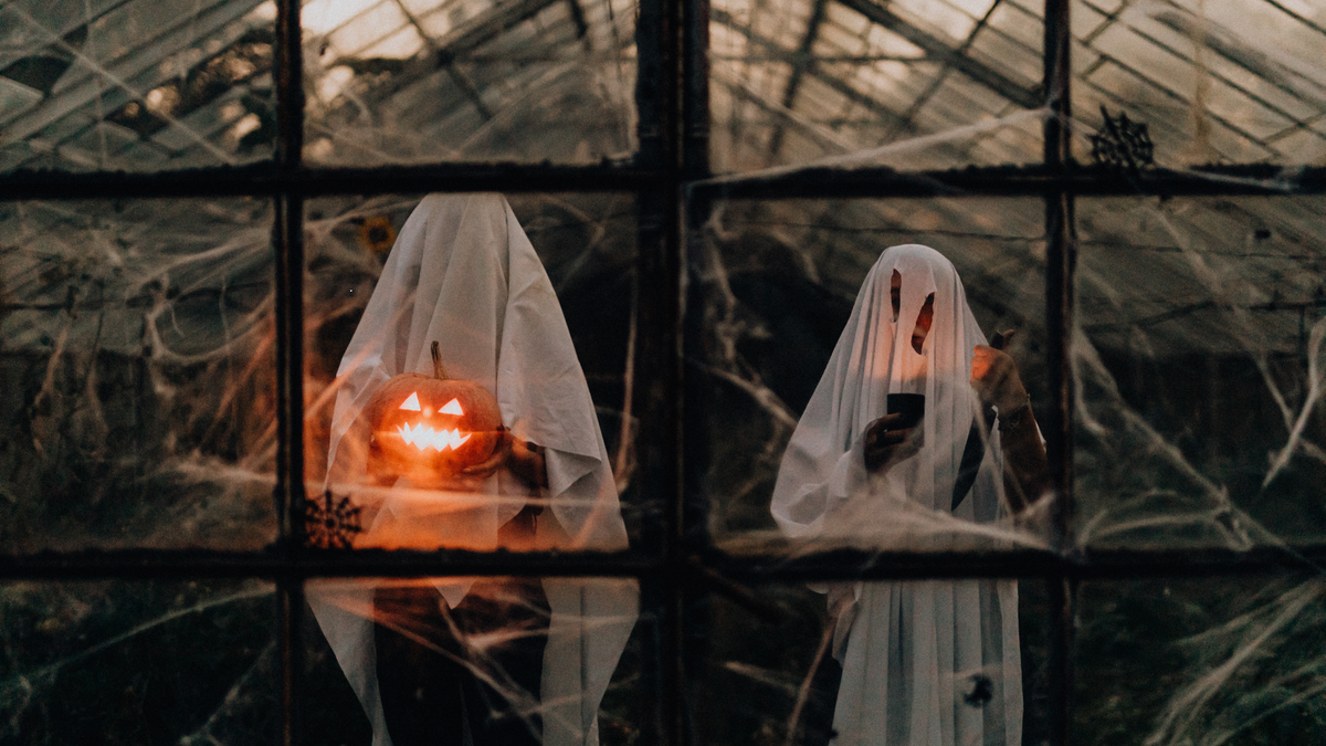 Best Horror Book Lover Gifts 2026 | Spooky Ghost Reader Guide