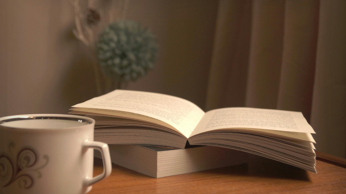 Best Mystery & Thriller Books of 2026: BookTok's Unputdownable Picks