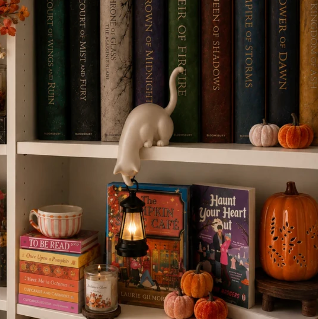 Hanging Cat Shelf Llantern
